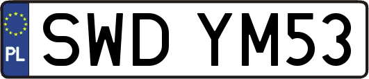 SWDYM53
