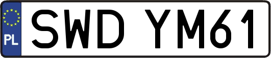 SWDYM61