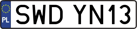 SWDYN13