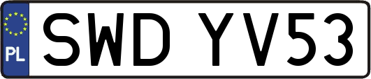 SWDYV53