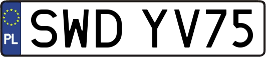 SWDYV75