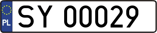 SY00029