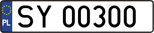 SY00300