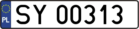 SY00313