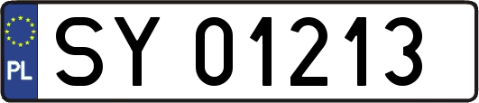 SY01213
