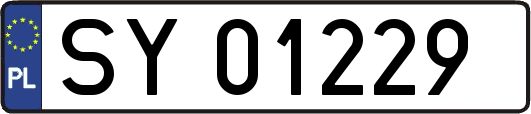 SY01229