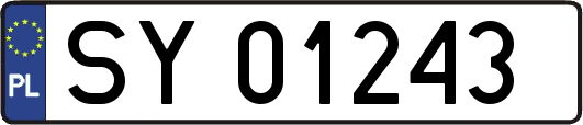 SY01243