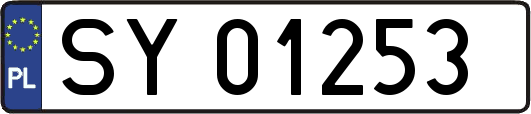 SY01253