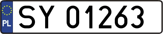 SY01263