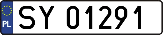 SY01291