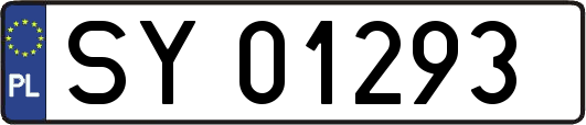 SY01293