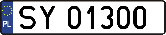 SY01300