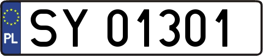 SY01301
