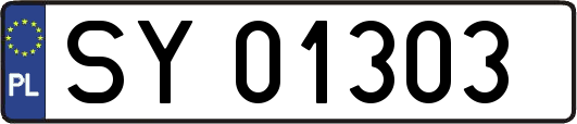 SY01303