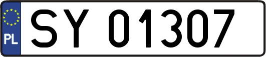 SY01307