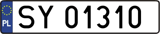 SY01310