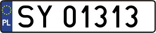 SY01313