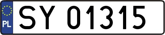 SY01315