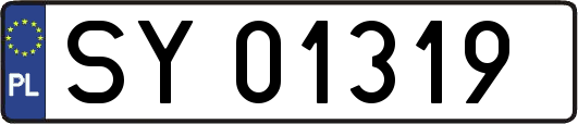SY01319