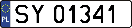SY01341