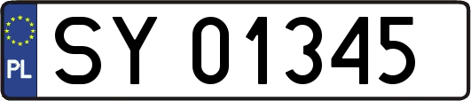 SY01345