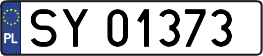 SY01373