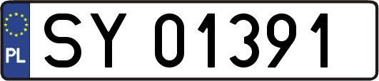 SY01391