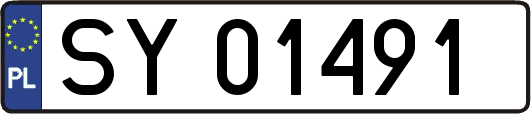 SY01491