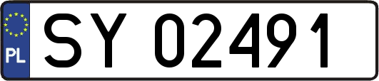 SY02491