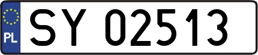 SY02513