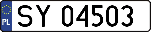 SY04503