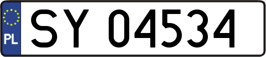 SY04534