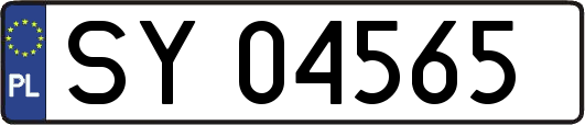 SY04565