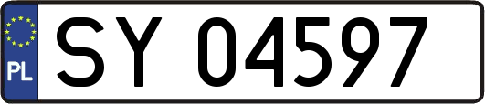 SY04597