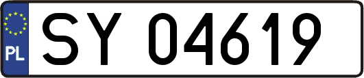 SY04619