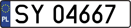 SY04667