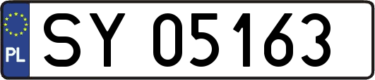 SY05163