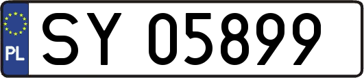 SY05899
