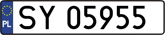 SY05955