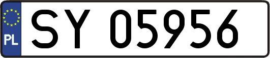 SY05956