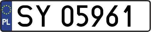 SY05961