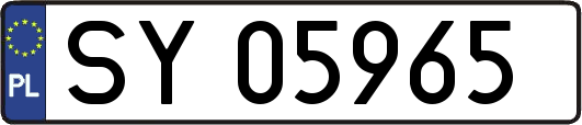 SY05965