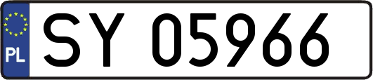 SY05966