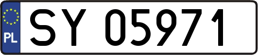 SY05971
