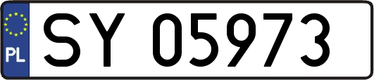 SY05973