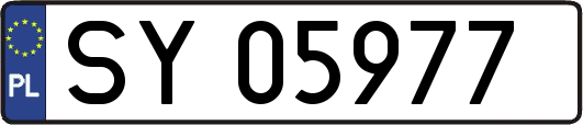 SY05977