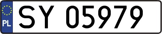 SY05979
