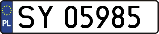 SY05985