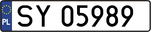SY05989