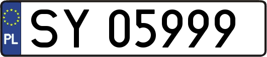 SY05999